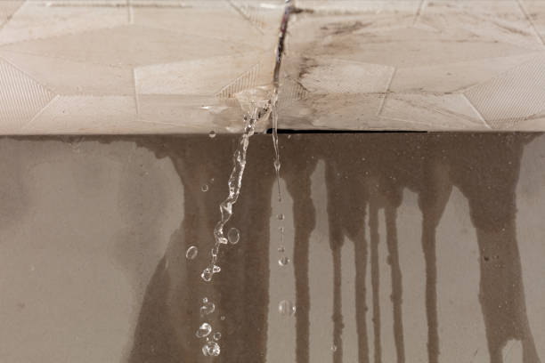 Professional Sewage Cleanup technician working in Romeo, MI